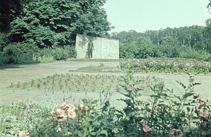 Senftenberg